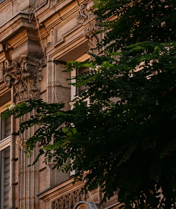 Verzierte Altbaufassade hinter Baumlaub in Fürth